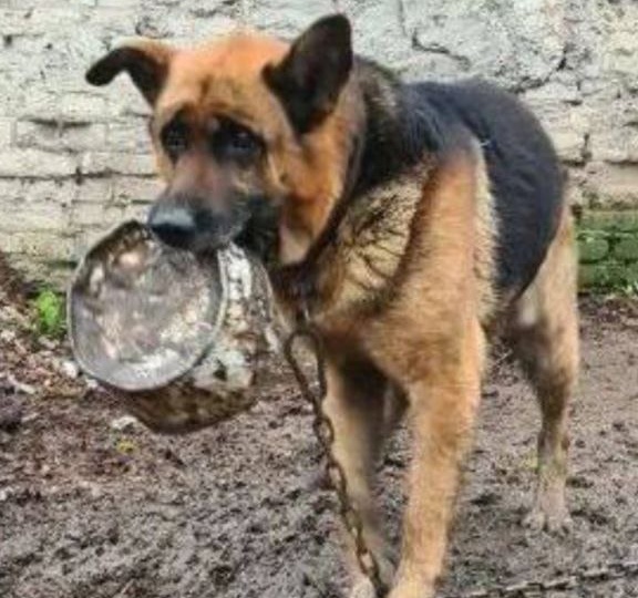 Помогаем информационно