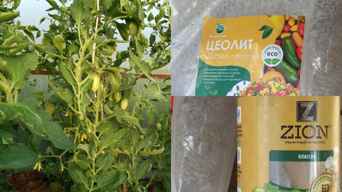 Цион за 1800 рублей против цеолита за 90 рублей - кто победит в честном сравнении?