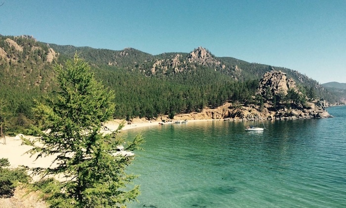    Госдума приблизилась к принятию закона о сплошных вырубках погибшего леса на Байкале