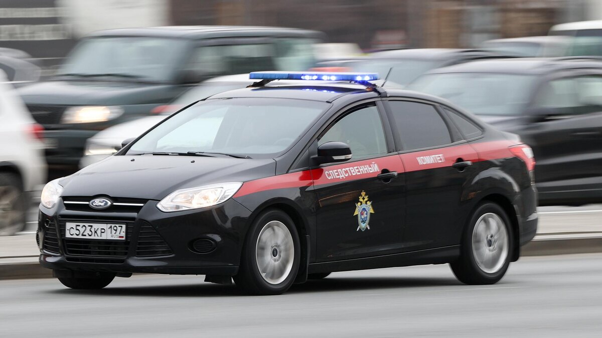    Фото: Bulkin Sergey/globallookpress.com