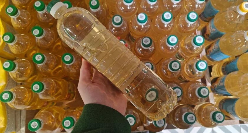    Фото: Первый городской канал Калининград