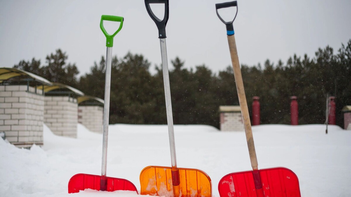    Фото: photo8313/Shutterstock/Fotodom