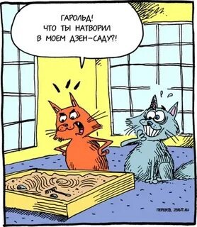 Из Интернета