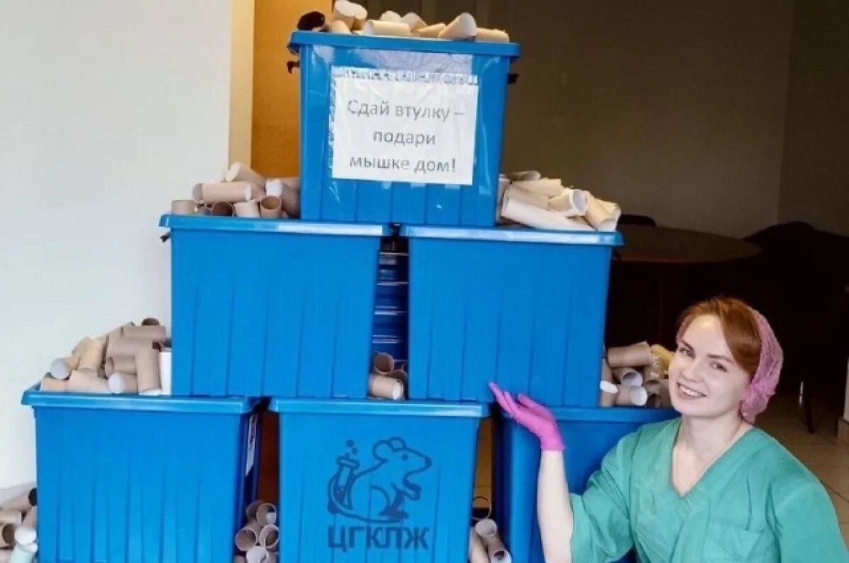    Больше 1000 втулок собрали для лабораторных мышек нижегородского вуза