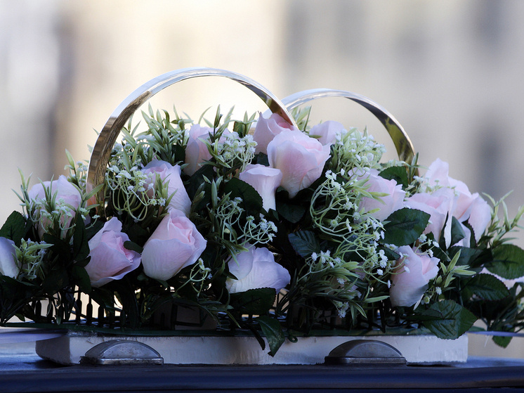 Фото: Геннадий Черкасов
