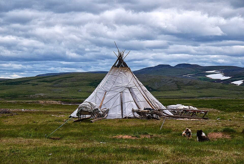 Фото: Wikimedia Commons / Sophia Pleshchunova, CC BY 4.0