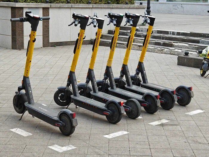    Фото: Юрий Серебренников/BFM Кубань