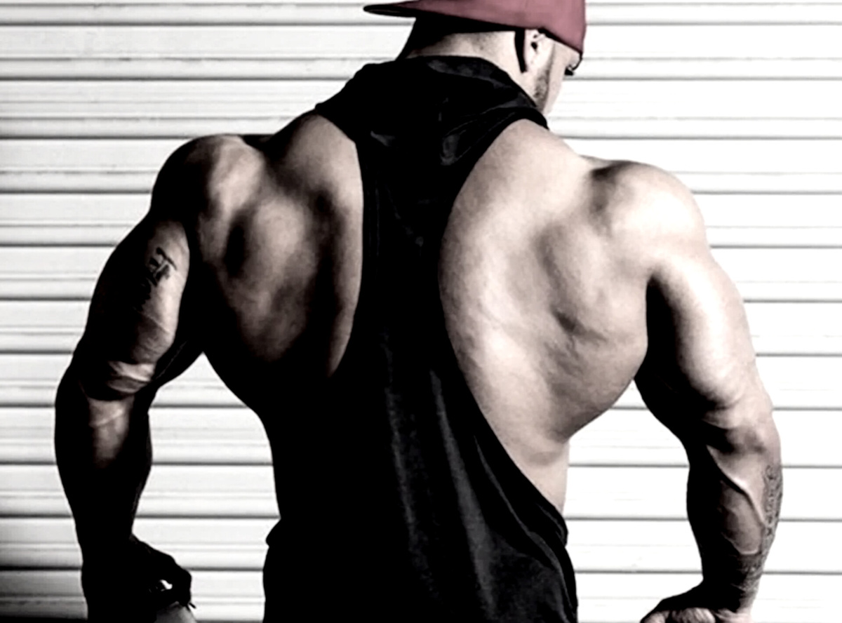 Мощный верх тела