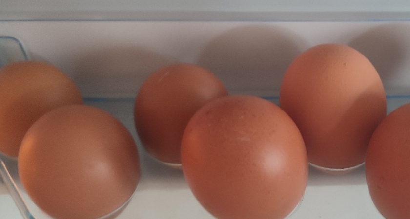    фото из архива редакции