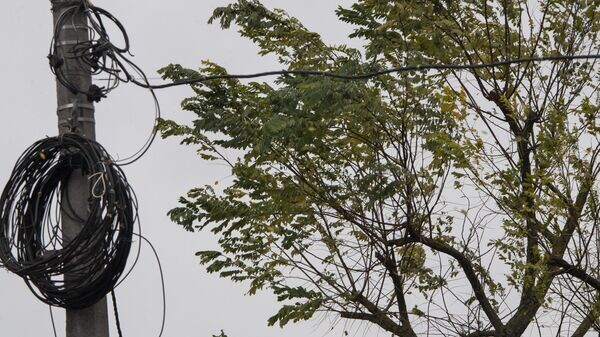    © РИА Новости Крым . Дмитрий Макеев