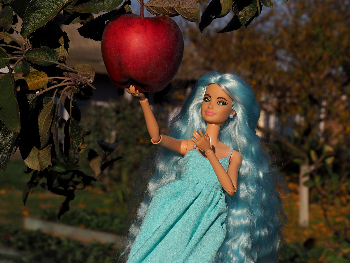 Barbie Extra Delux Скиппер.