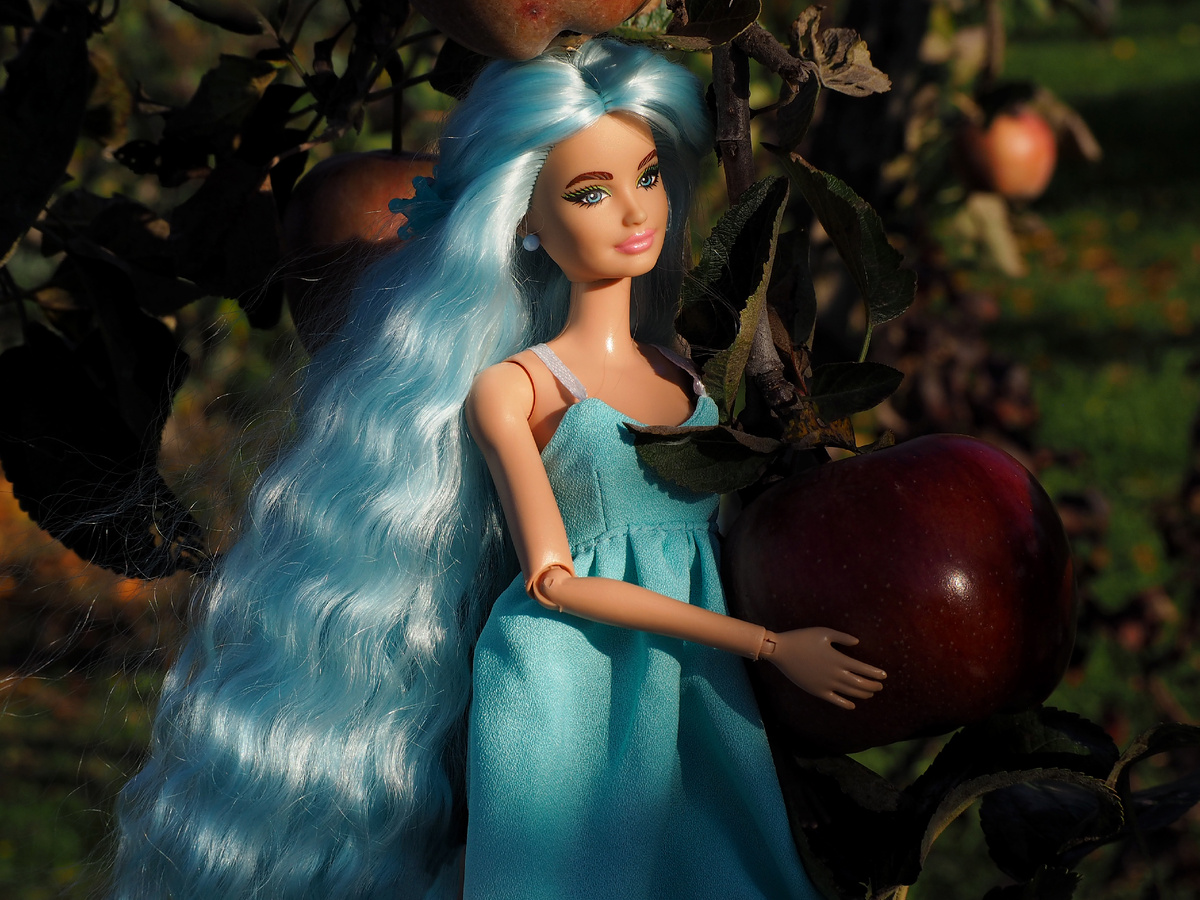 Barbie Extra Delux Скиппер.