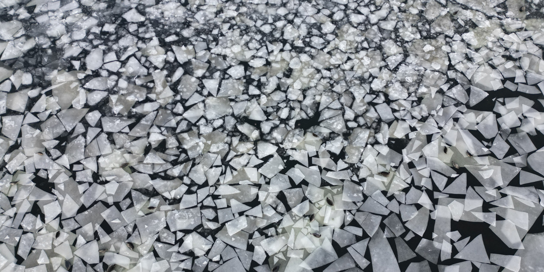 Заповедный дайджест. Ноябрь 2025