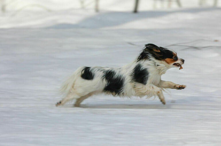   Тимур Ханов/«Парламентская газета»