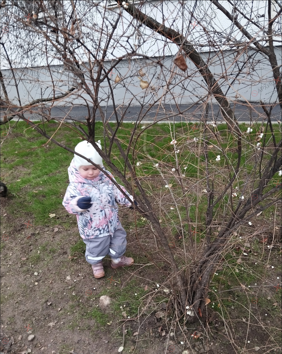 По дороге домой.