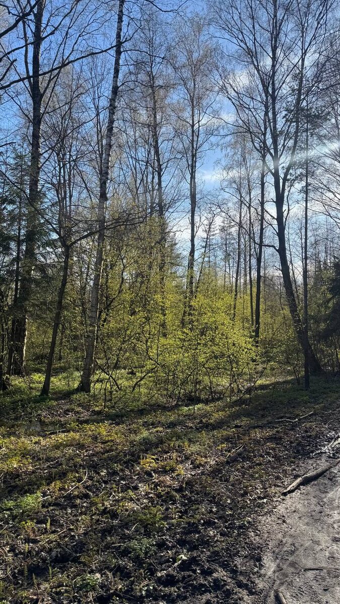 Страхование жизни