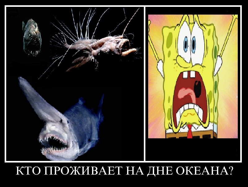 ...очень страшно