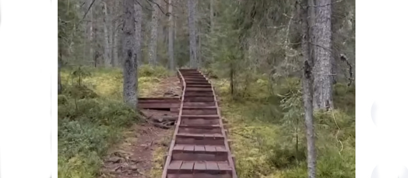    скрин видео