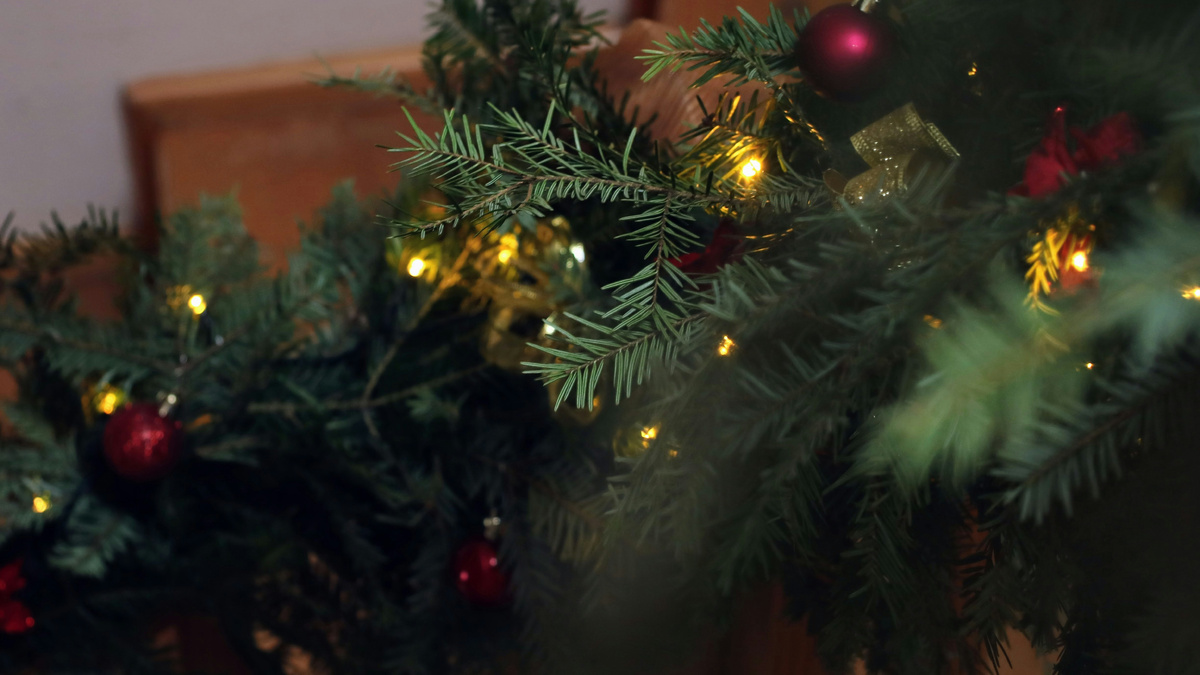     Matej Spulak/Unsplash