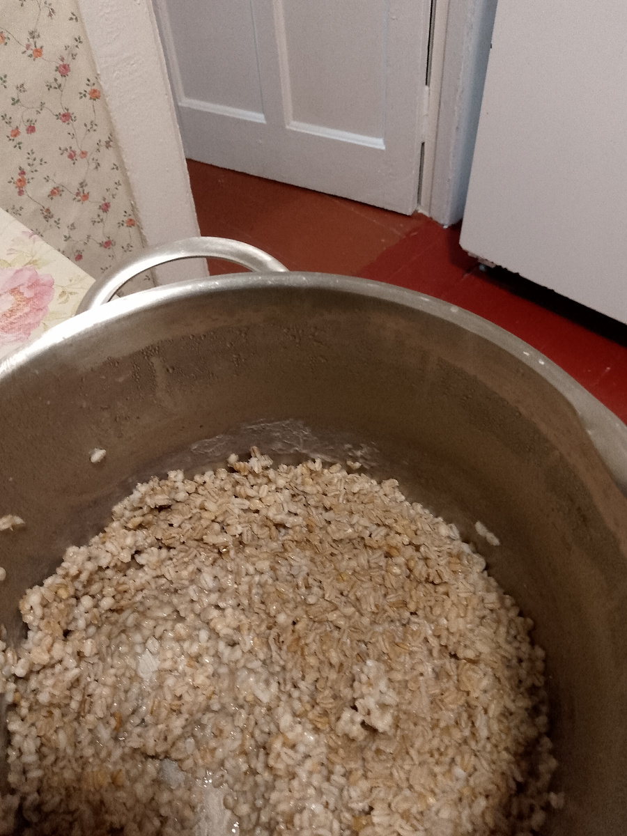 Вот сколько каши наварила