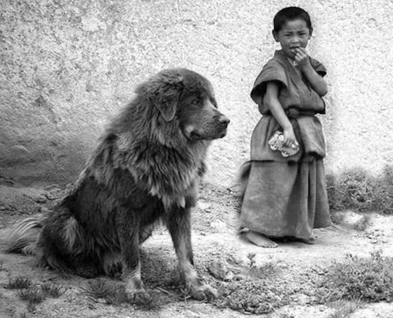 Показывай, малой, кто тебя обидел? 