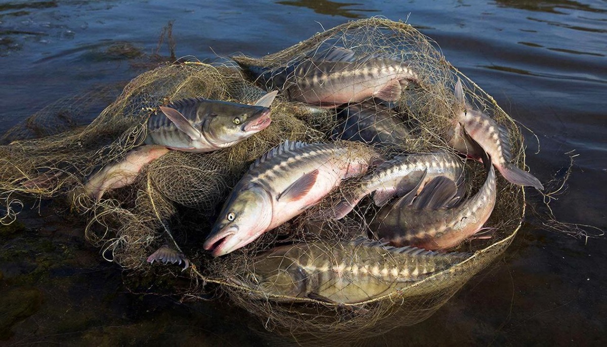 Иллюстрация создана нейросетью.