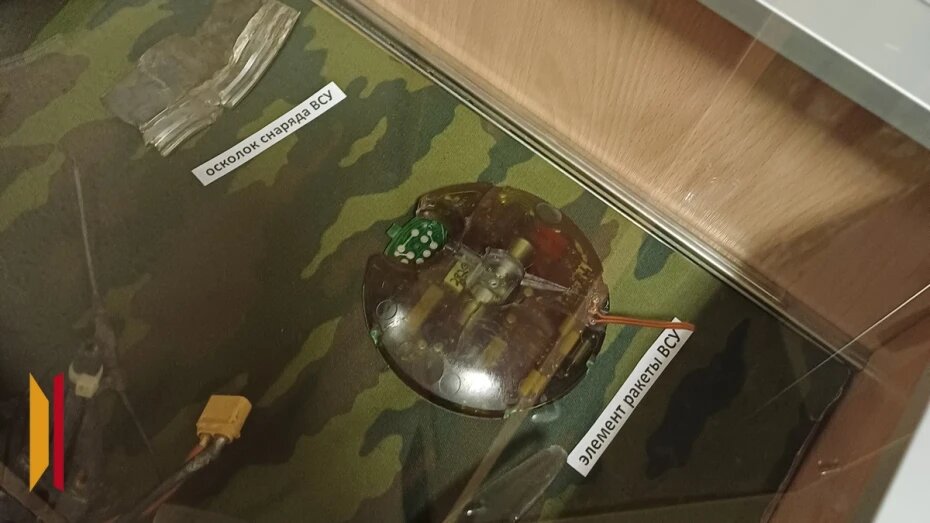    Автор фото: Елена Дедова