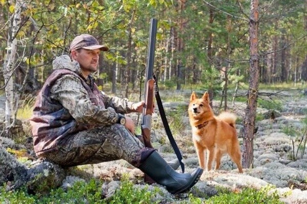 Фото из Яндекса