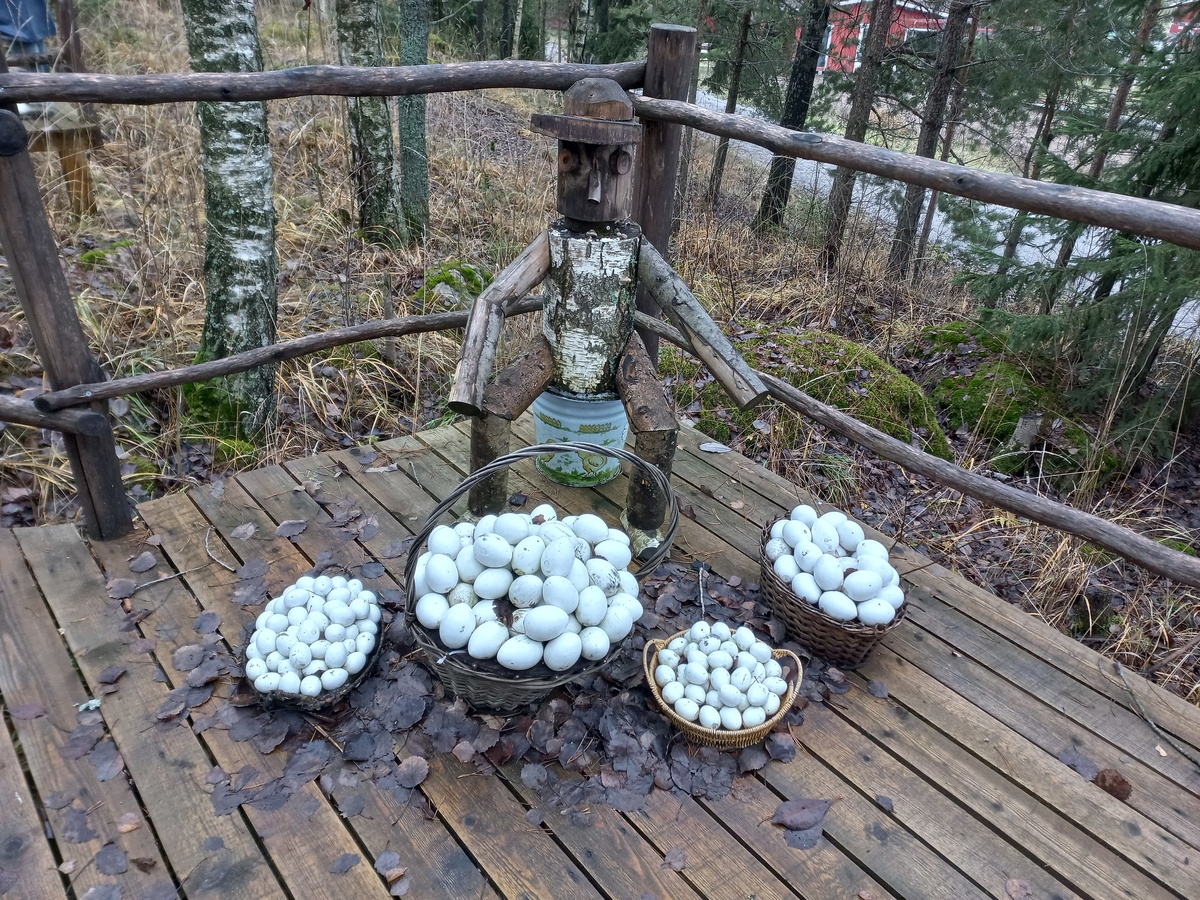 Фотография 1