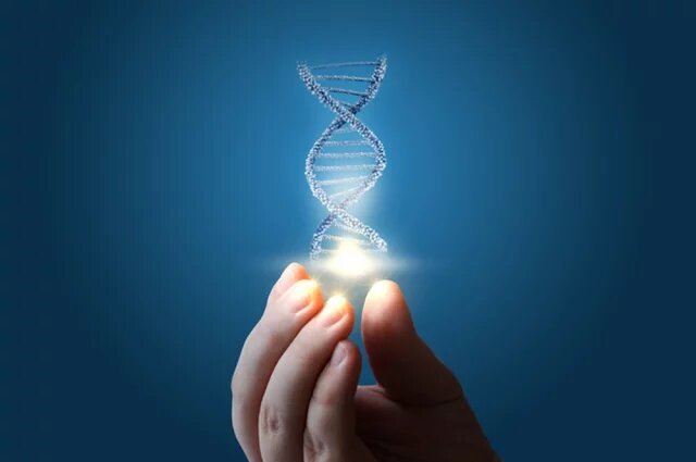    Ген и геном: в чем разница?