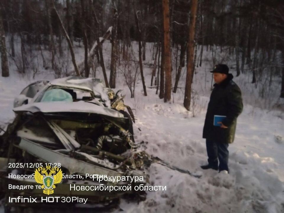     прокуратура Новосибирской области / Telegram