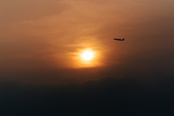    Фото: freepik. com