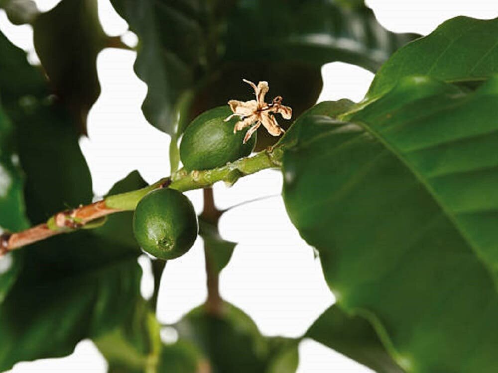 Картинка с сайта stockphoto.com