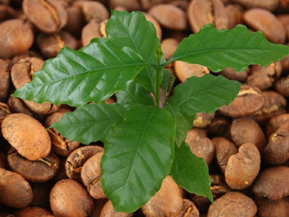 Картинка с сайта stockphoto.com