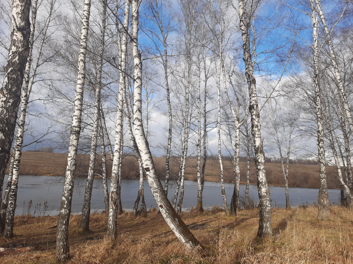 Река Макаров