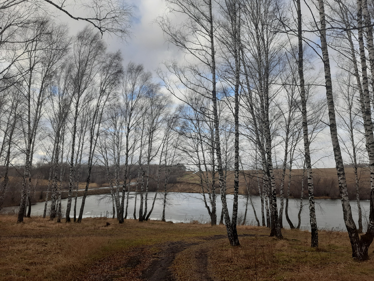 Река Макаров