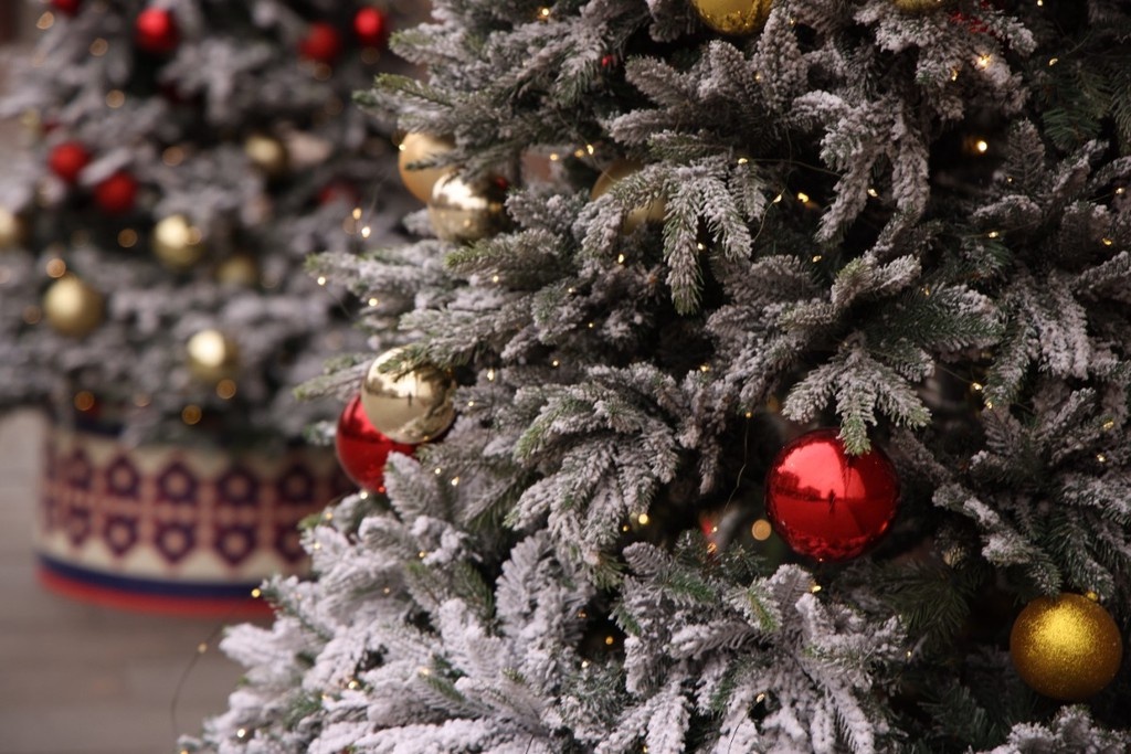    Фото © Анастасия Романова / Абзац