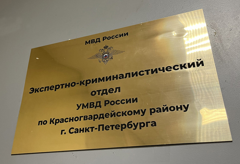     Фото: МК в Питере