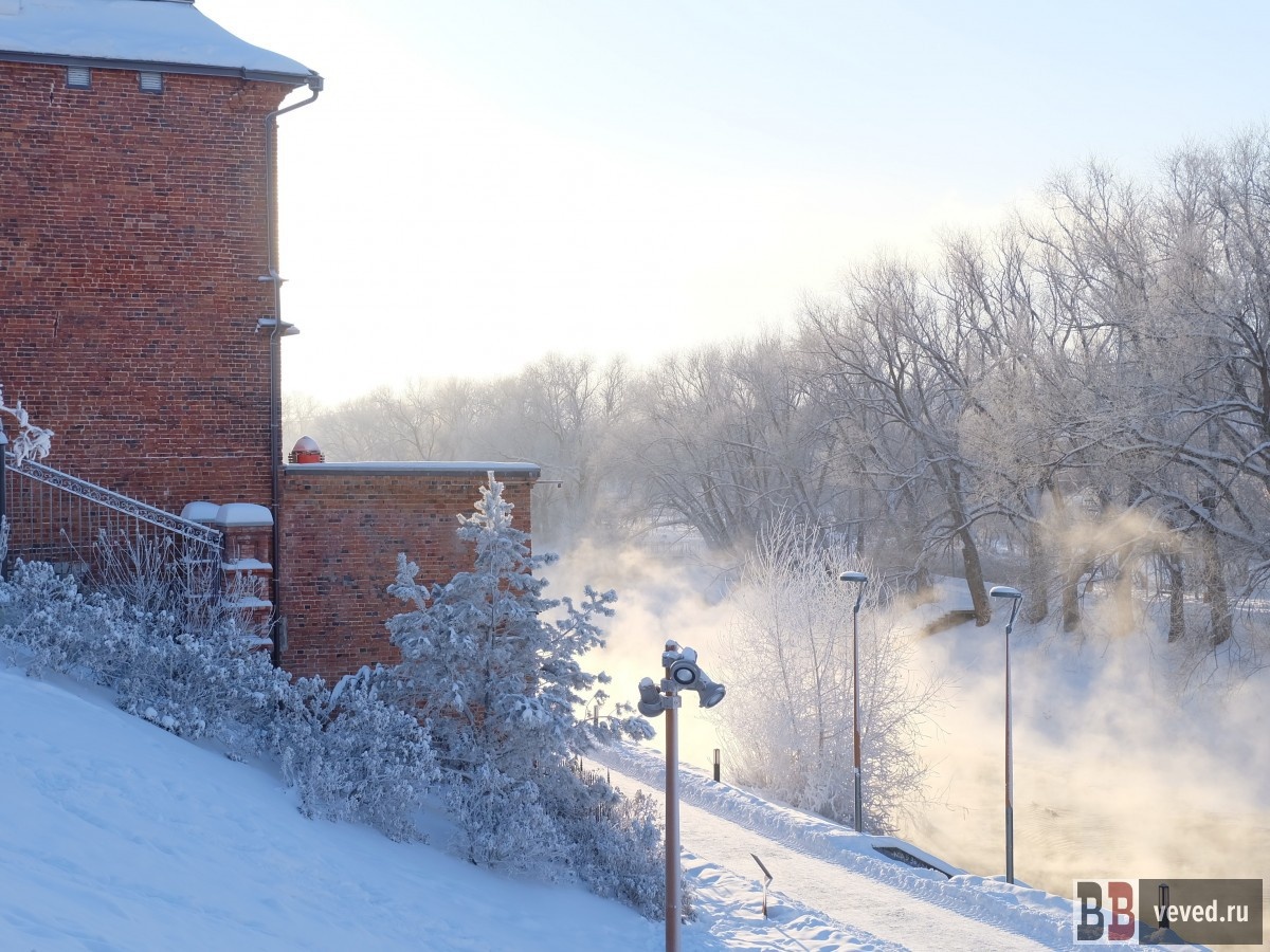     Фото: Владислав Постников / Вечерние ведомости