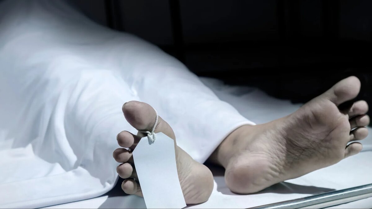 Фото: leolintang/Shutterstock/Fotodom