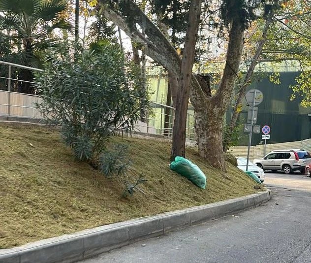    Фото: Telegram/МЦУ Сочи