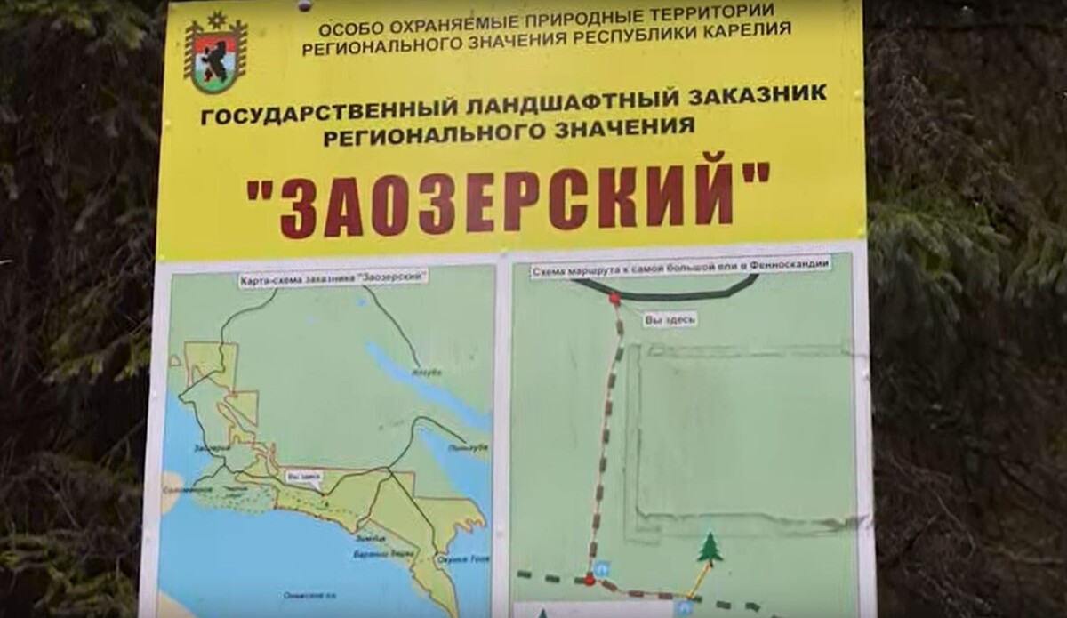    фото: © скрин с видео