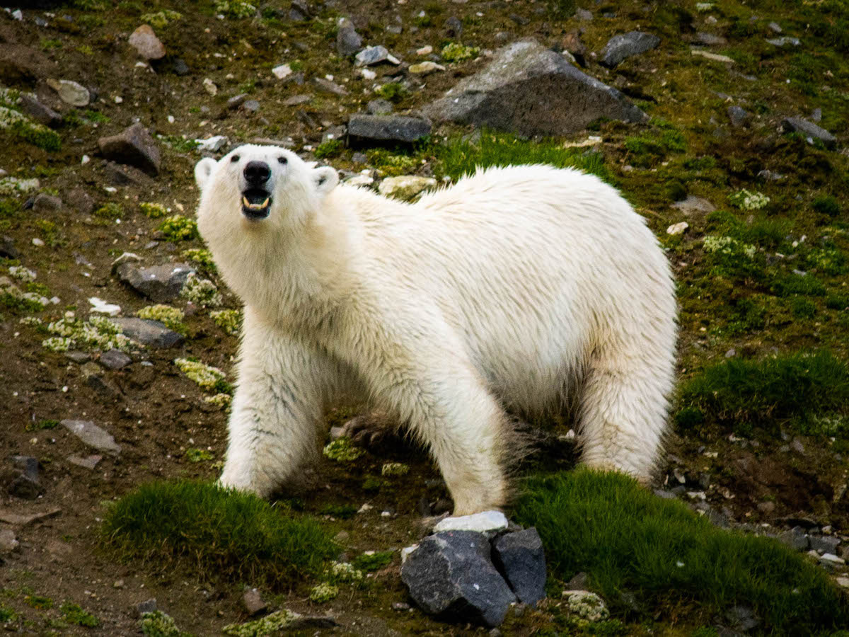 Фото: Александр Романовский / Фотобанк ПОРА
