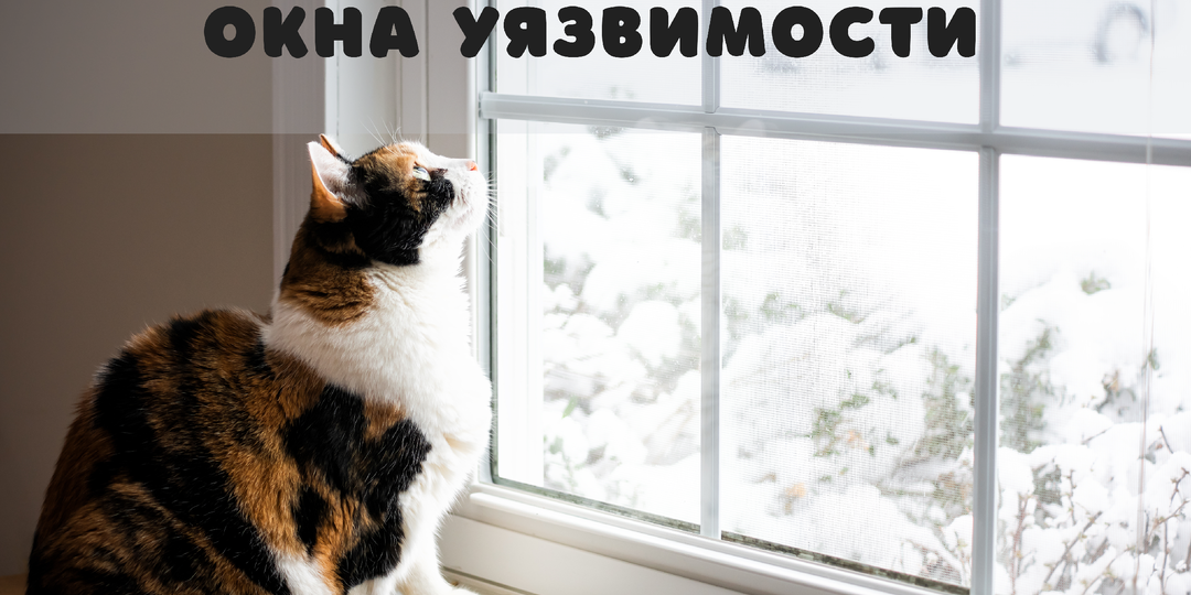 Когда мошенники становятся особенно убедительными