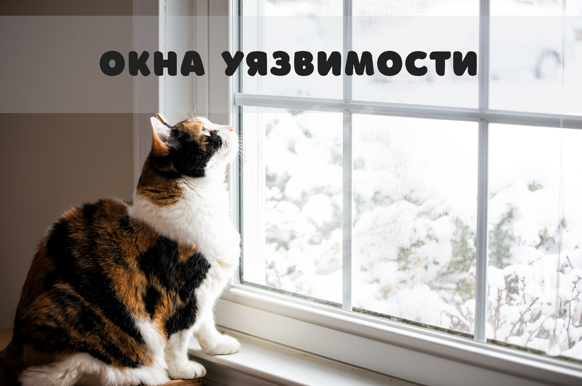 Фото: Shutterstock / Kristi Blokhin