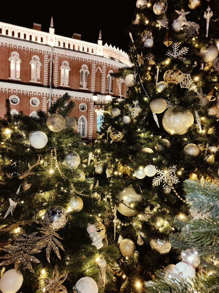 Ёлочка в усадьбе Царицыно (фото автора)