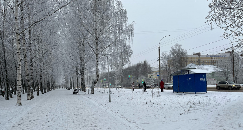    Фото: progorod43.ru