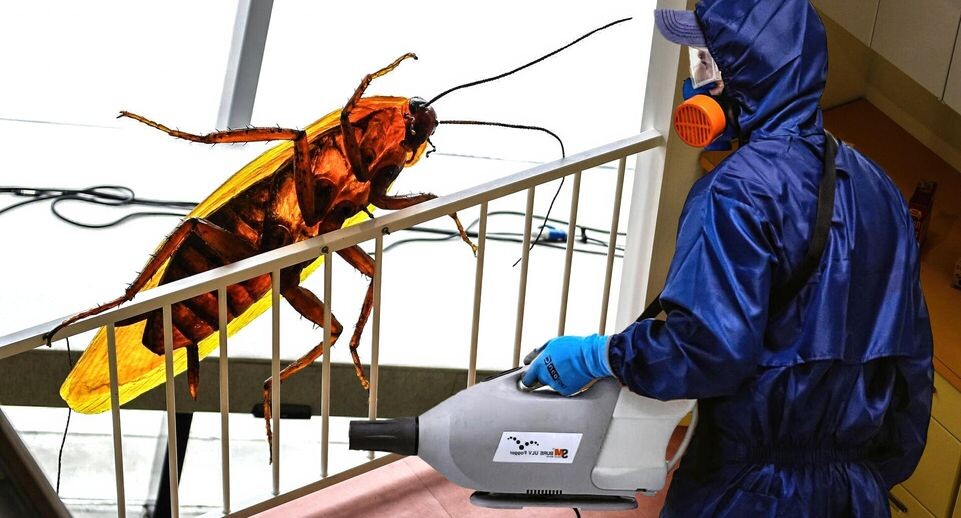    РИА «Новости»