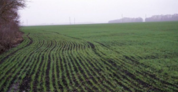    Фото: Минсельхоз Липецкой области