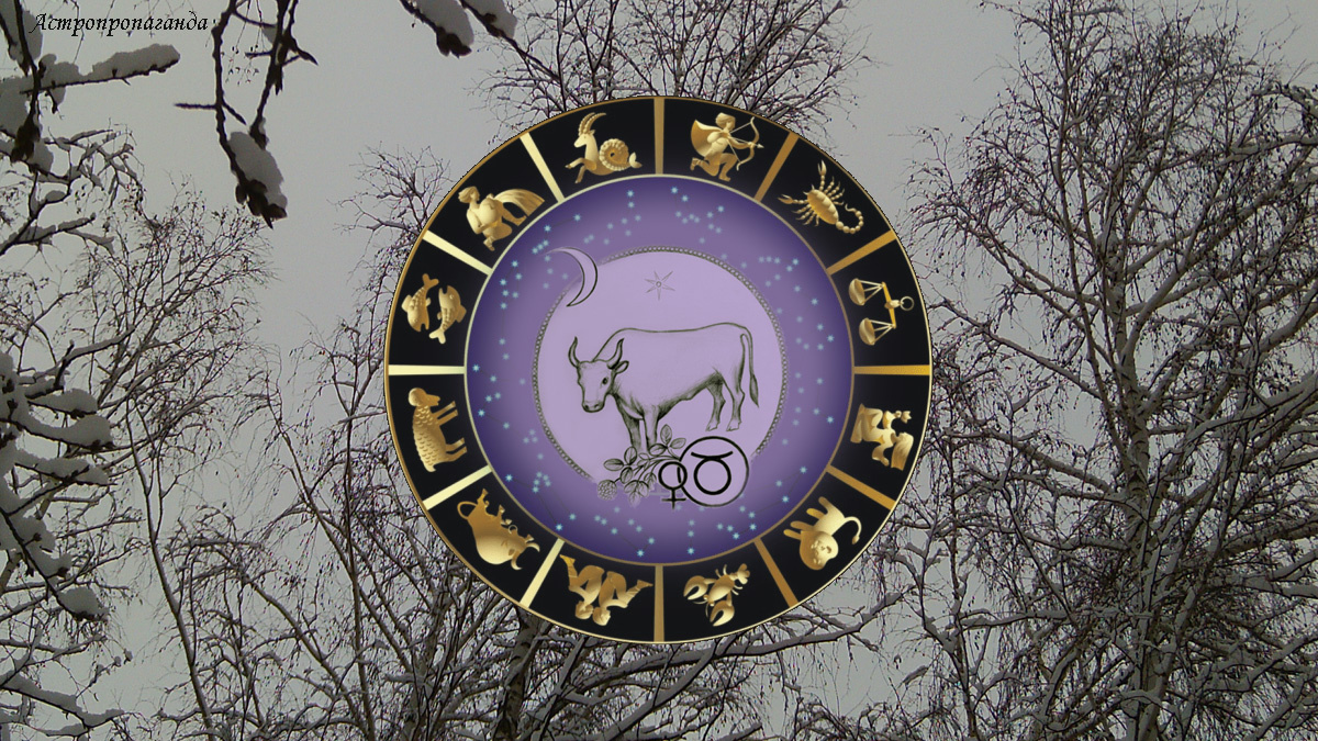 Гороскоп для Тельца с 1 по 28 декабря 2025.